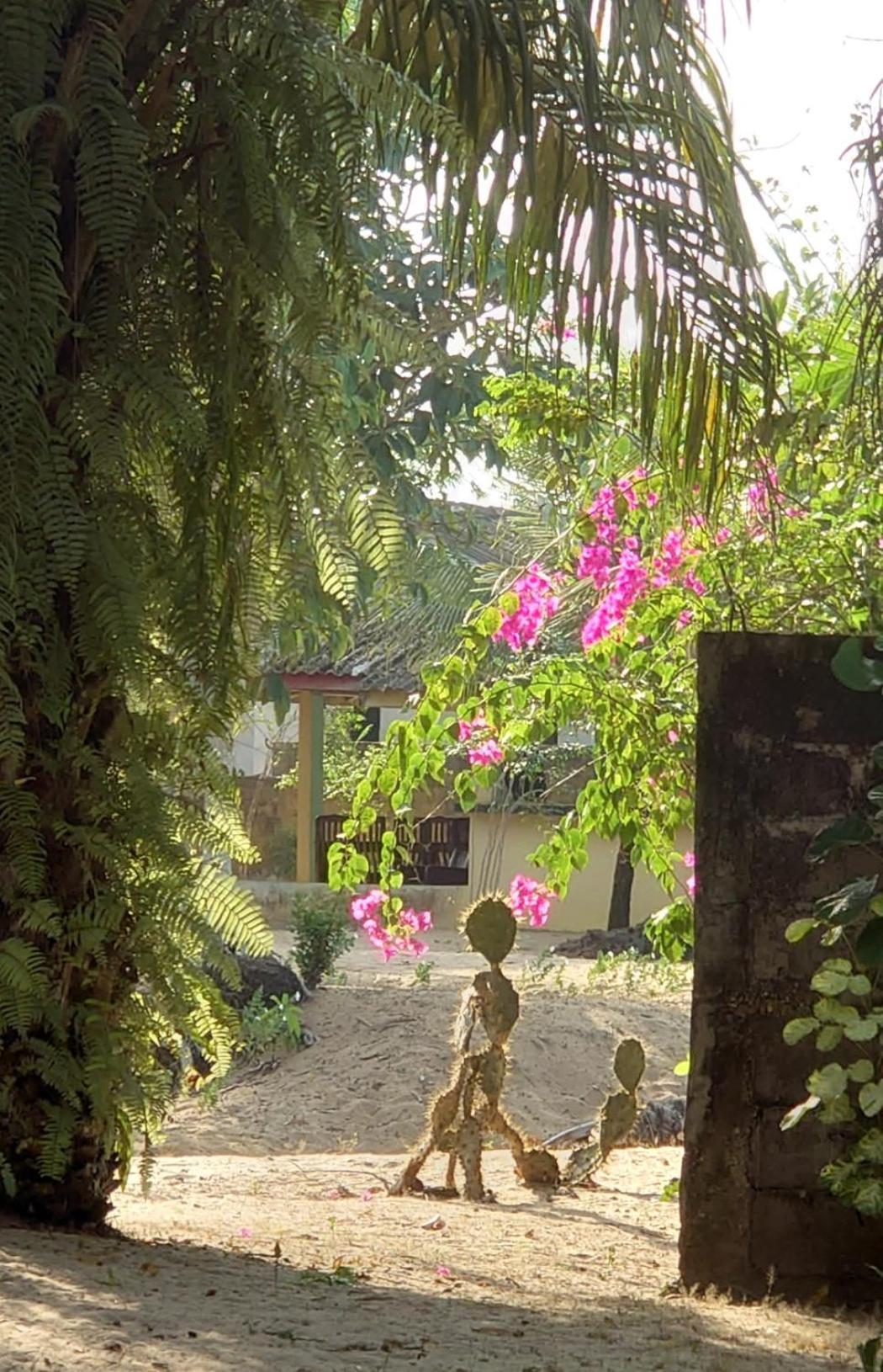 Rundbungalow Auf Lionsrest Grand-Bassam Exteriör bild